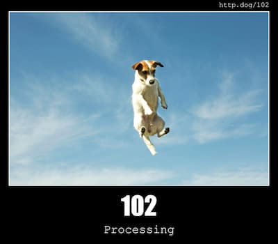 102 Processing & Dogs