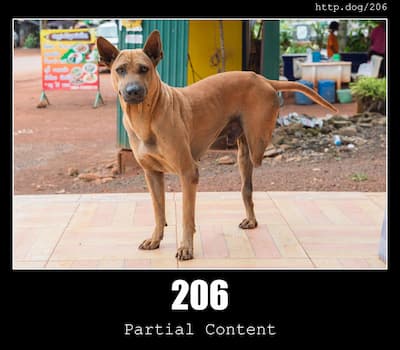 206 Partial Content & Dogs