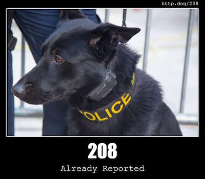 208 Already Reported & Dogs