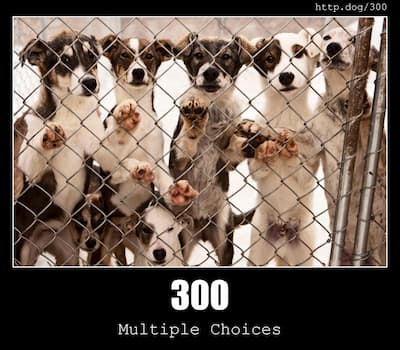 300 Multiple Choices & Dogs