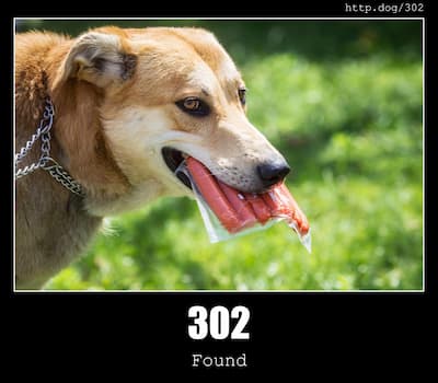 302 Found & Dogs