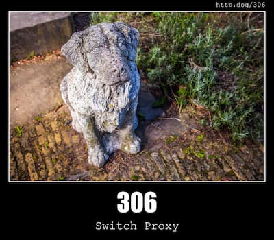 306 Switch Proxy & Dogs