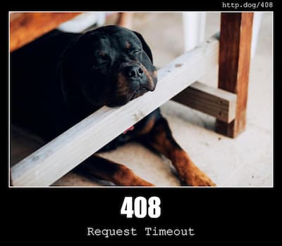 408 Request Timeout & Dogs
