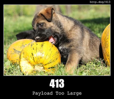 413 Payload Too Large & Dogs