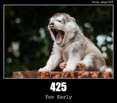 425 Too Early & Dogs