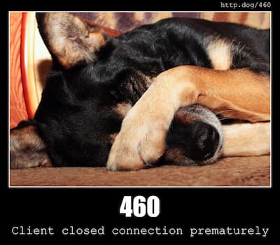 460 Client Closed Connection & Dogs