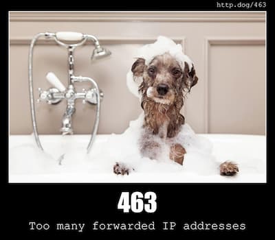 463 X-Forwarded-For Too Large & Dogs