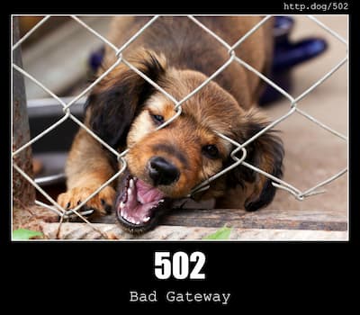 502 Bad Gateway & Dogs