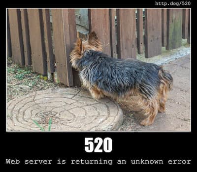 520 Web Server Returned an Unknown Error & Dogs