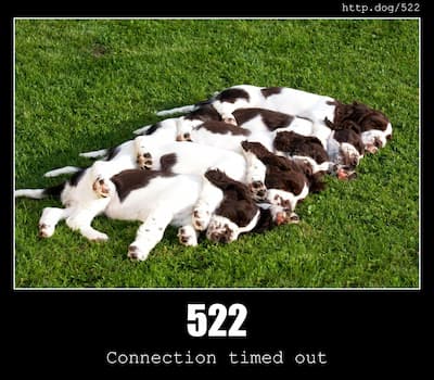 522 Connection Timed Out & Dogs