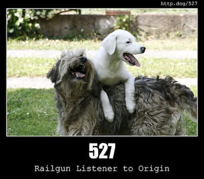 527 Railgun Error & Dogs