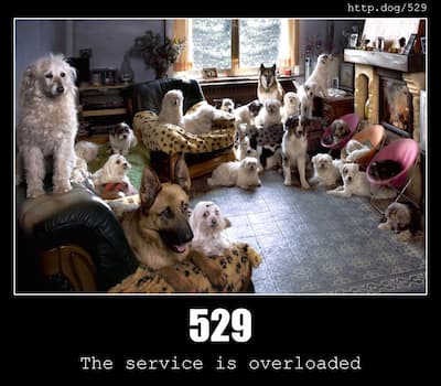 529 Site is overloaded & Dogs