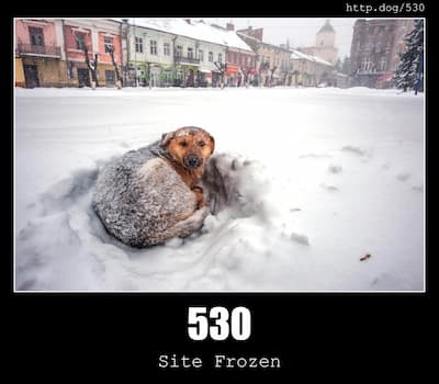 530 Site is frozen & Dogs
